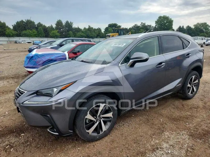 2020 Lexus NX photo