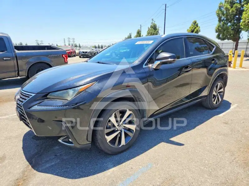 2020 Lexus NX photo
