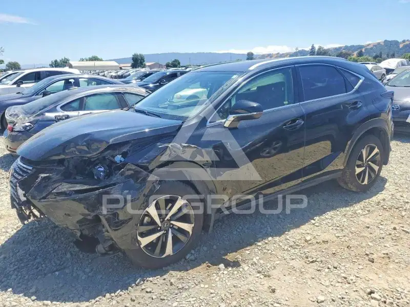 2020 Lexus NX photo
