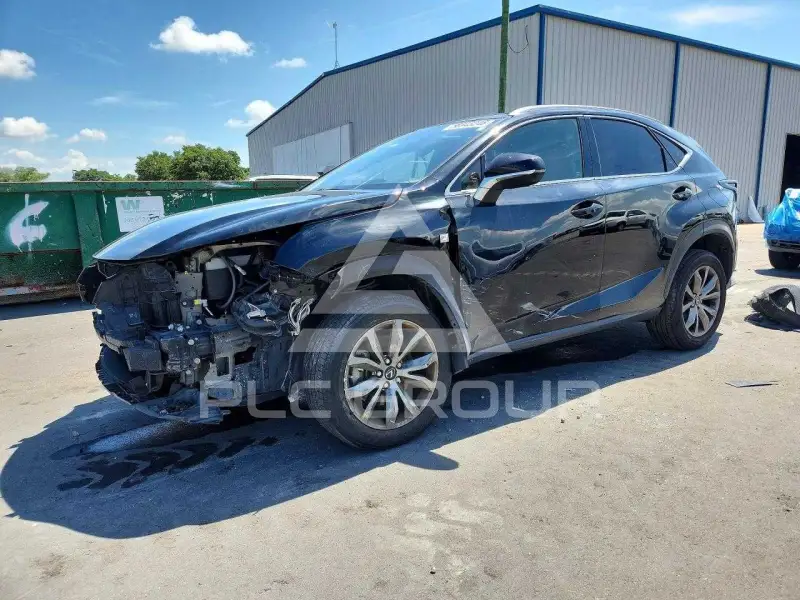 2020 Lexus NX фото