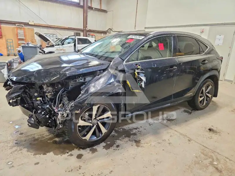 2020 Lexus NX фото
