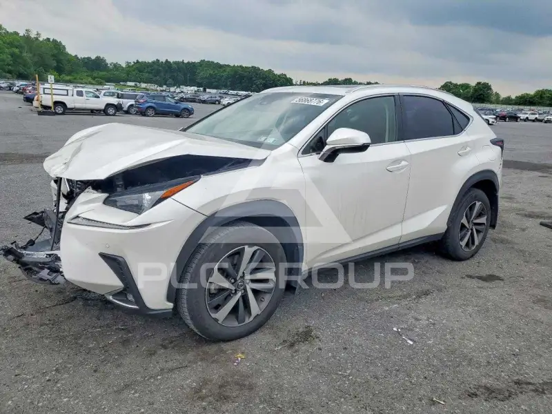 2020 Lexus NX photo