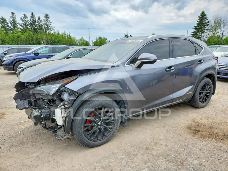 2020 Lexus NX фото