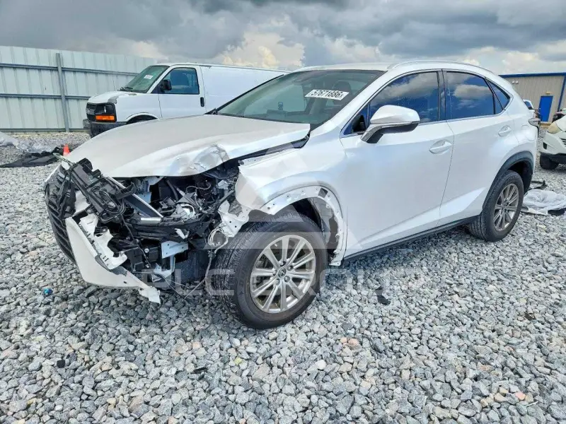 2020 Lexus NX фото