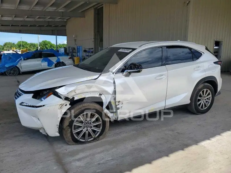 2020 Lexus NX photo