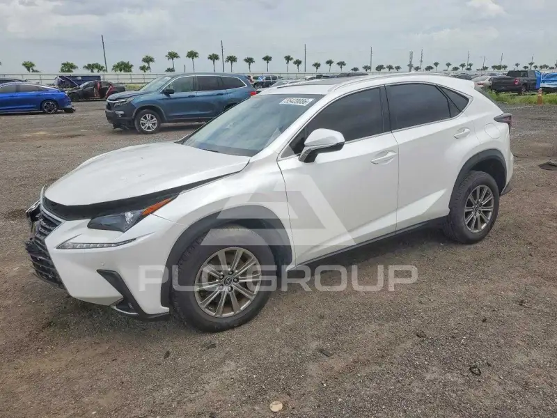 2020 Lexus NX photo