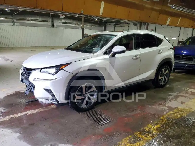 2019 Lexus NX VIN: JTJBARBZ8K2182248 из США - PLC Group
