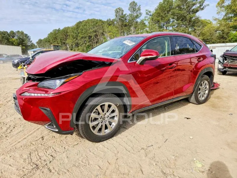 2020 Lexus NX фото
