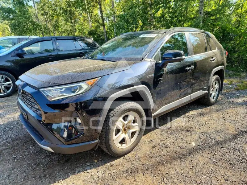 2020 Toyota RAV4 photo