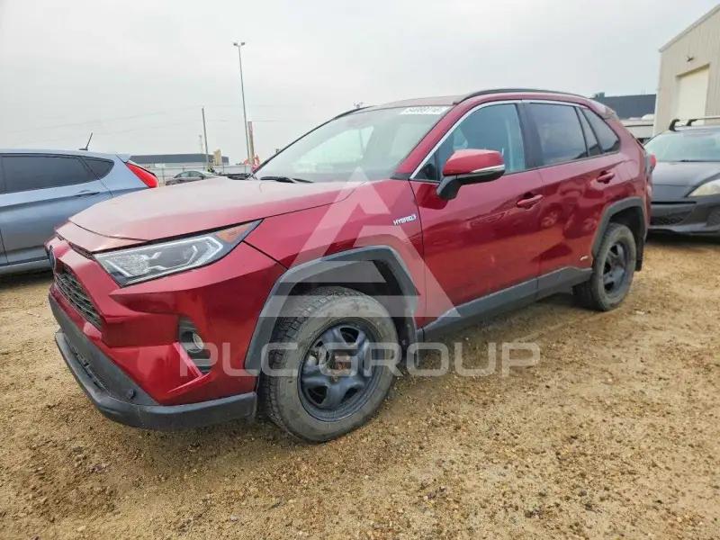 2020 Toyota RAV4 photo