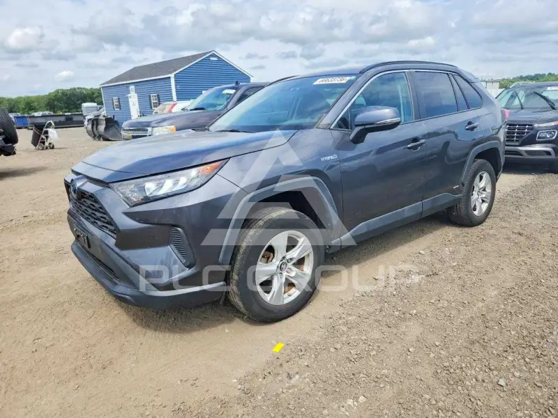 2020 Toyota RAV4 фото