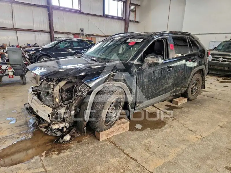 2020 Toyota RAV4 фото