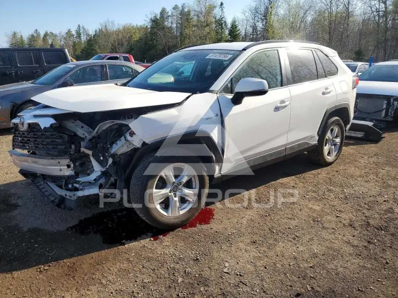 2020 Toyota RAV4 фото