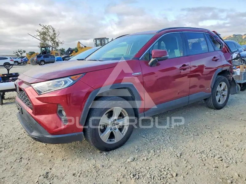 2020 Toyota RAV4 photo