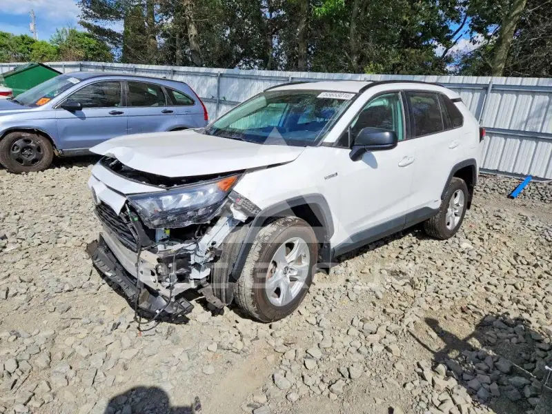 2020 Toyota RAV4 фото
