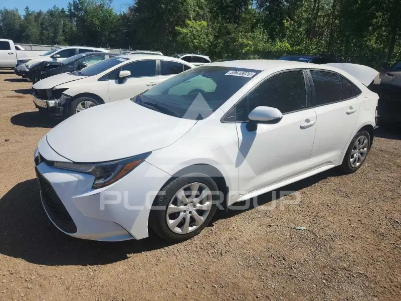 2020 Toyota COROLLA фото