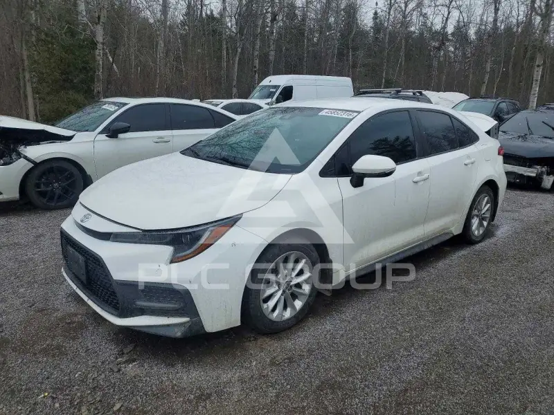 2020 Toyota COROLLA photo