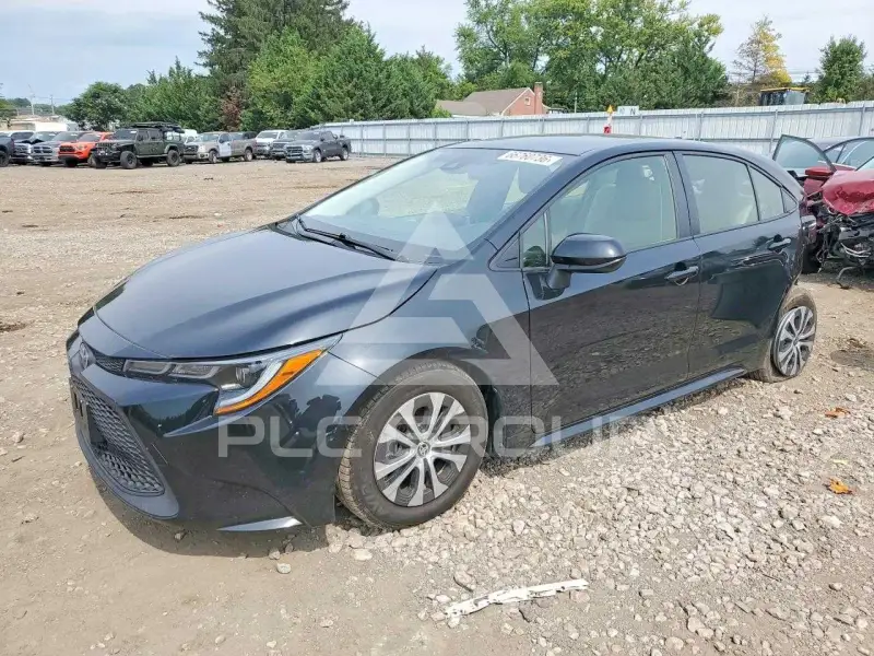 2020 Toyota COROLLA photo