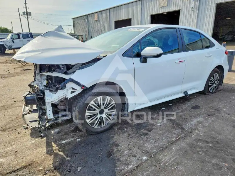 2020 Toyota COROLLA photo