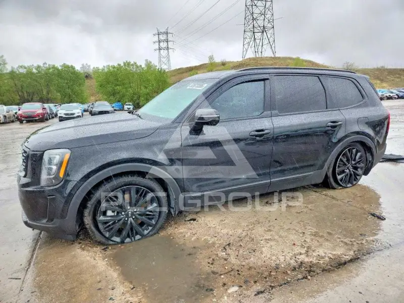 2020 KIA Telluride photo