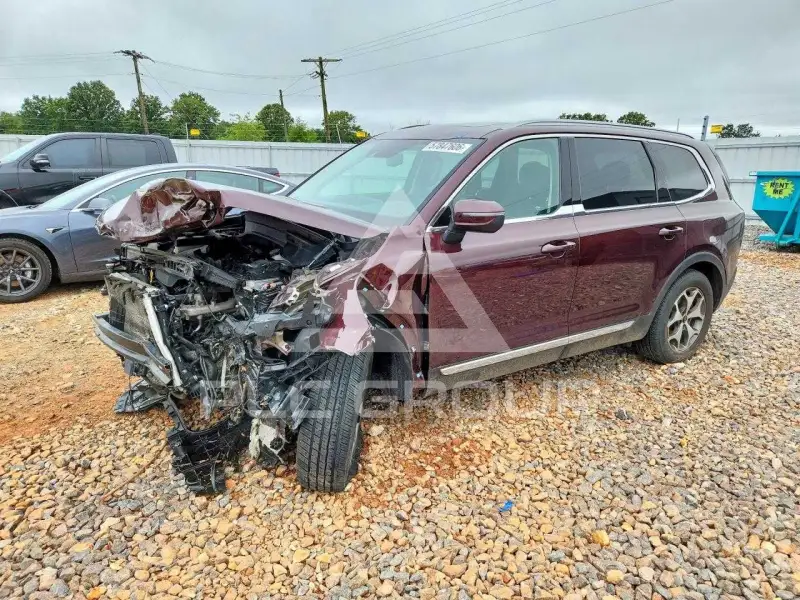 2020 KIA Telluride photo