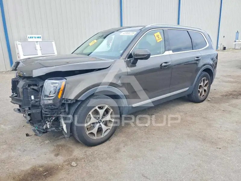 2020 KIA Telluride photo