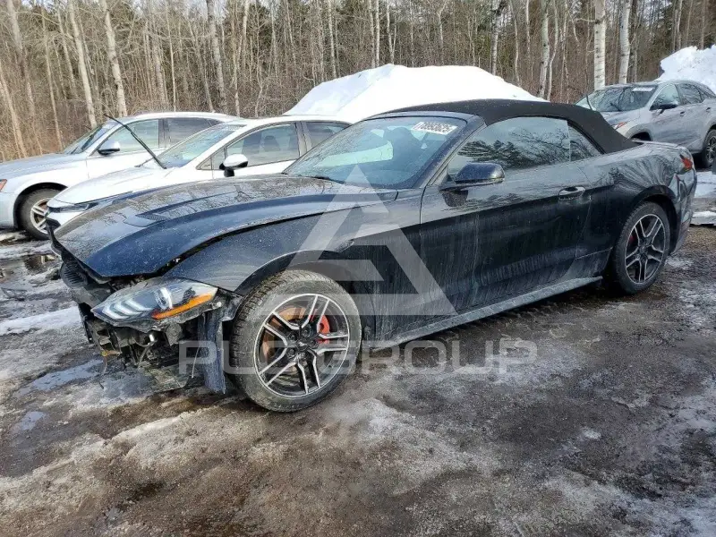 2020 Ford MUSTANG фото
