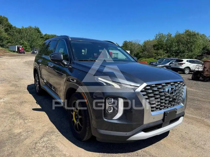 2020 Hyundai Palisade photo