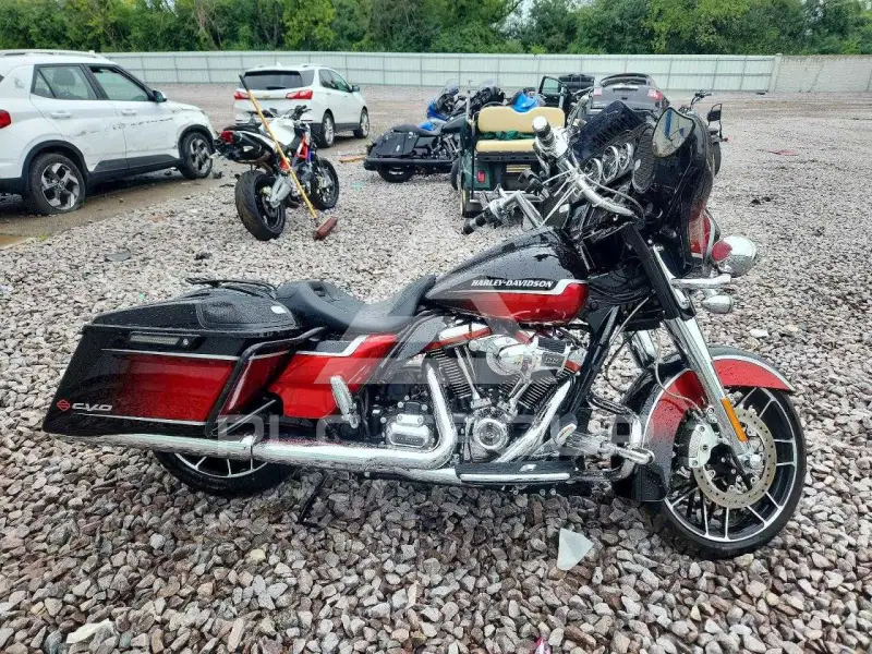 2021 Harley-Davidson FLSE фото