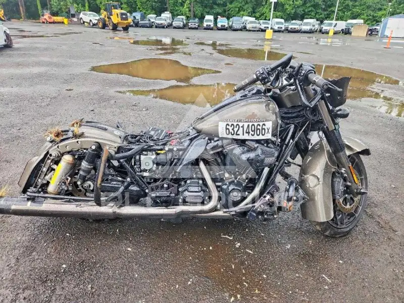 2021 Harley-Davidson FLSE фото