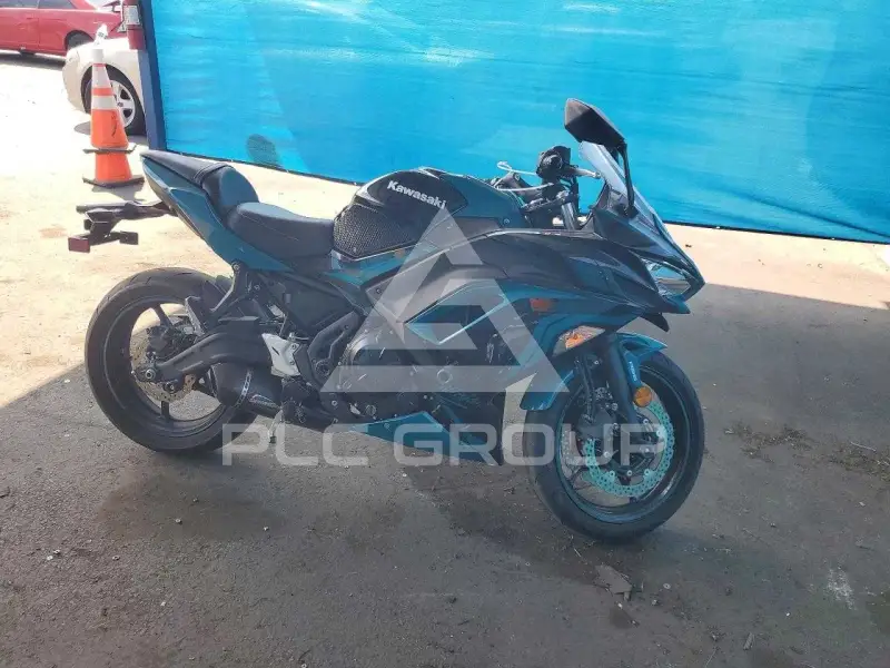 2021 Kawasaki  фото