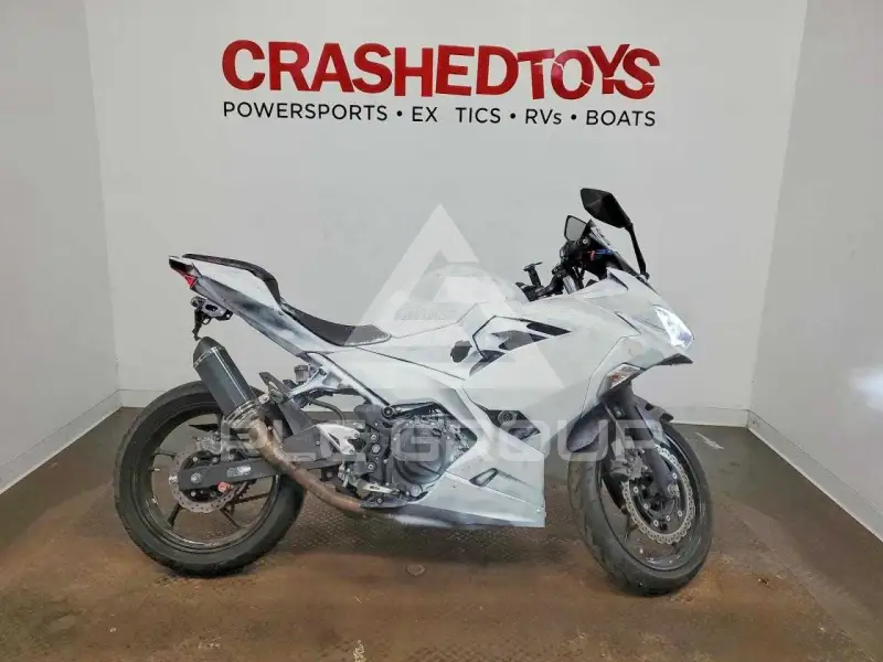 2021 Kawasaki  фото
