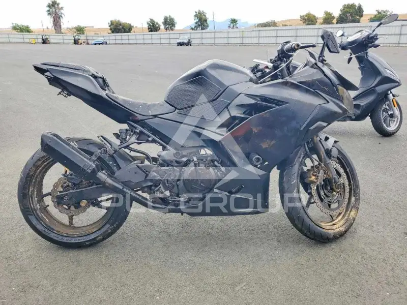 2021 Kawasaki  photo