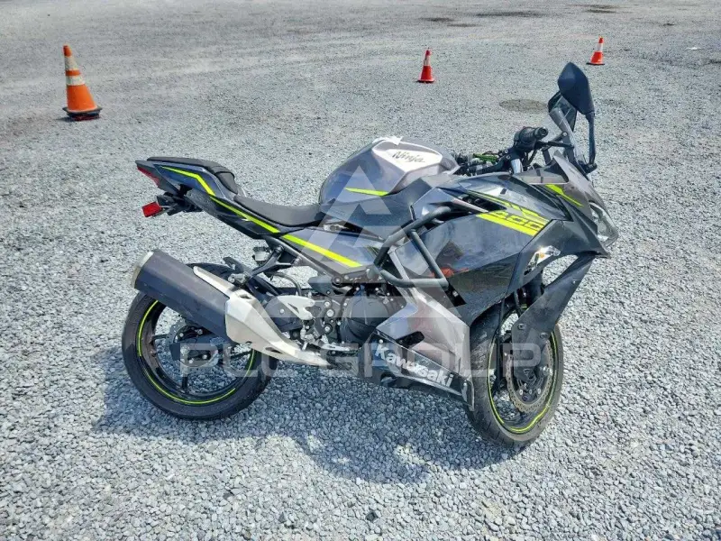 2021 Kawasaki  фото