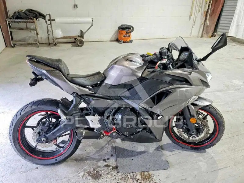 2021 Kawasaki  фото