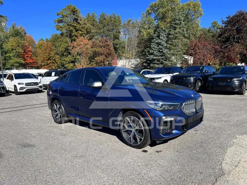 2021 BMW X6 photo