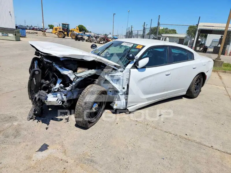 2021 Dodge CHARGER photo
