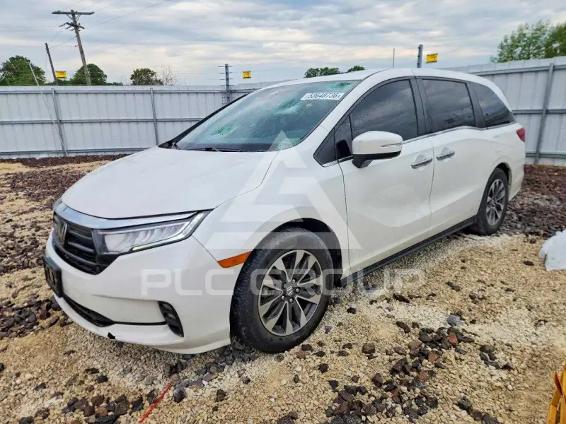 2021 Honda ODYSSEY фото