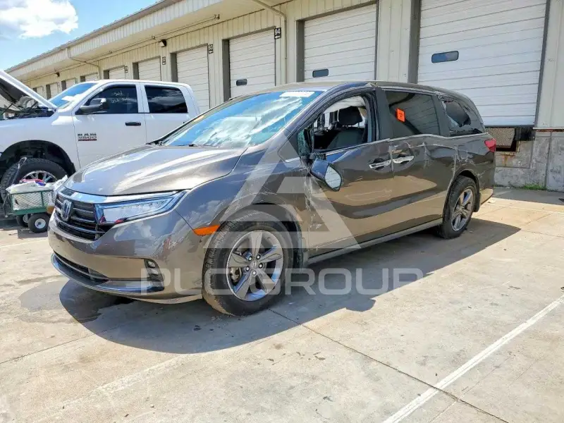 2021 Honda ODYSSEY photo