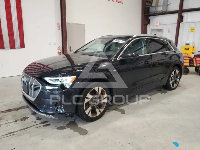 2021 Audi E-TRON photo