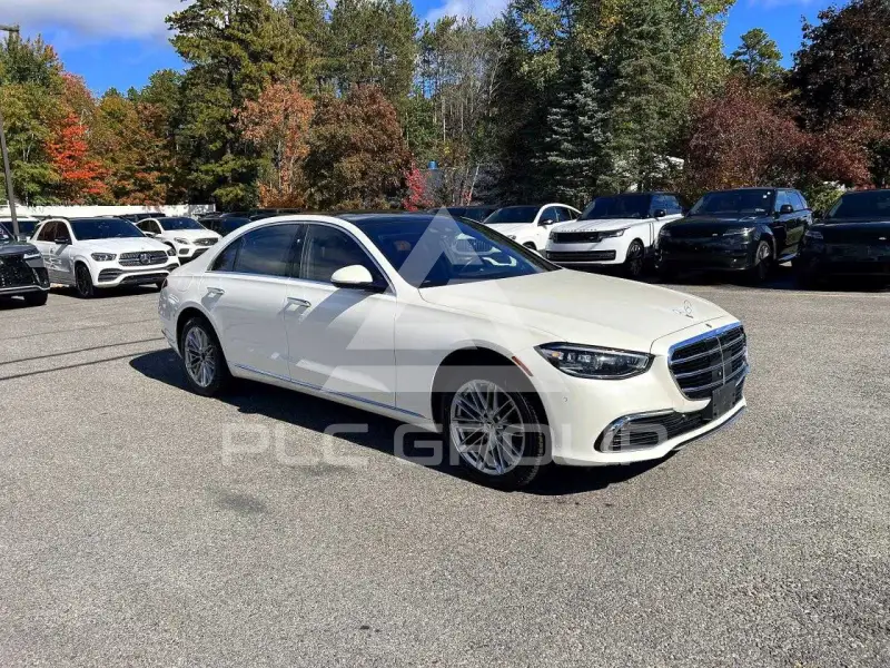 2021 Mercedes Benz S-Class photo