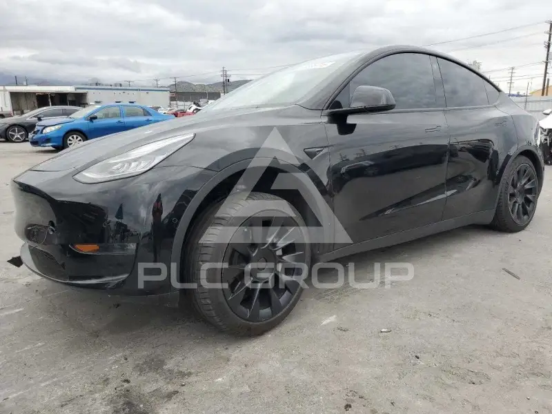 2021 Tesla Model Y фото
