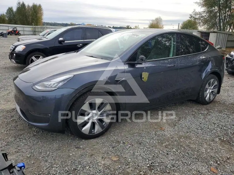2021 Tesla Model Y фото