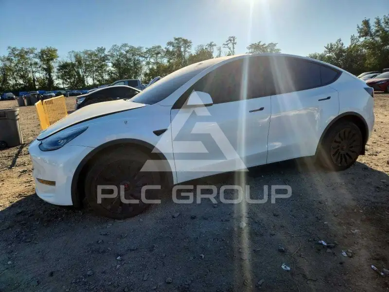 2021 Tesla Model Y фото