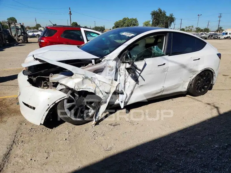 2021 Tesla Model Y photo