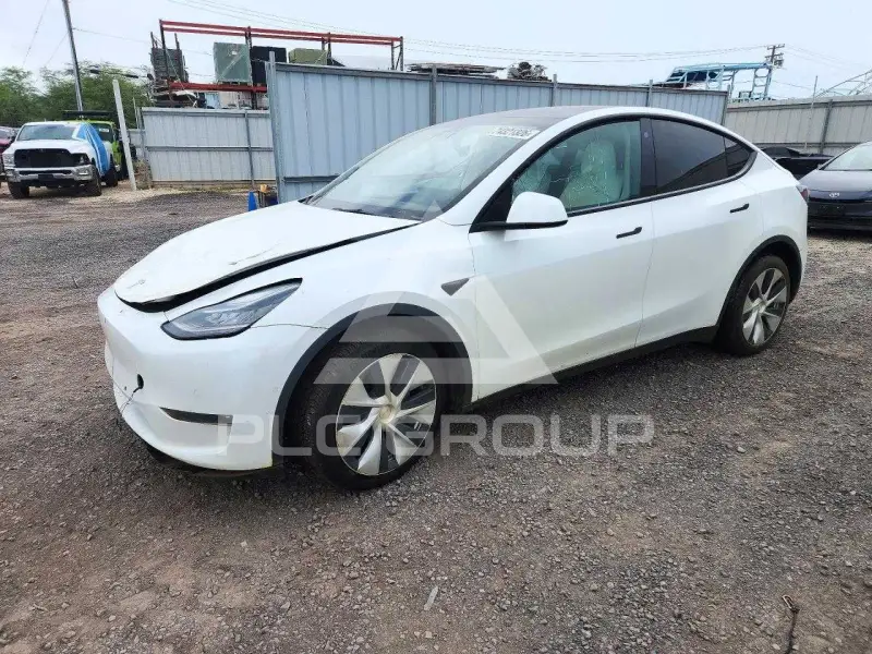 2021 Tesla Model Y photo