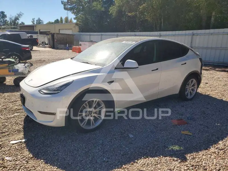 2021 Tesla Model Y photo