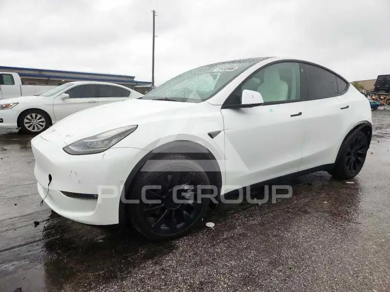 2021 Tesla Model Y фото
