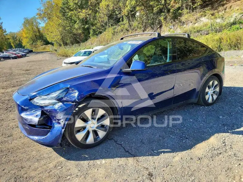 2021 Tesla Model Y фото