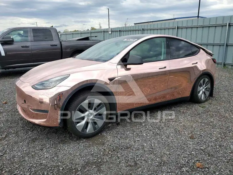 2021 Tesla Model Y photo